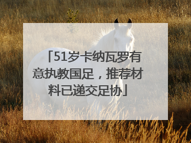 51岁卡纳瓦罗有意执教国足，推荐材料已递交足协