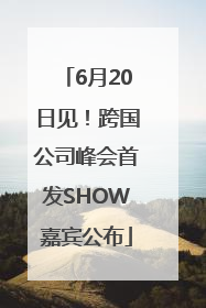 6月20日见！跨国公司峰会首发SHOW嘉宾公布