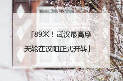 89米！武汉最高摩天轮在汉阳正式开转