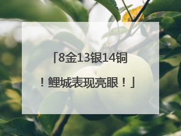 8金13银14铜！鲤城表现亮眼！