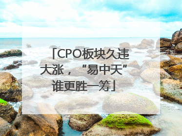 CPO板块久违大涨，“易中天”谁更胜一筹