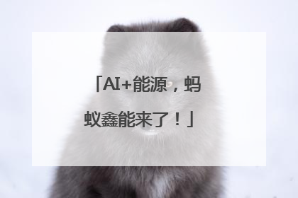 AI+能源，蚂蚁鑫能来了！