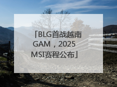 BLG首战越南GAM，2025MSI赛程公布