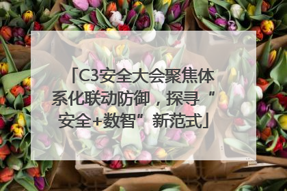 C3安全大会聚焦体系化联动防御，探寻“安全+数智”新范式