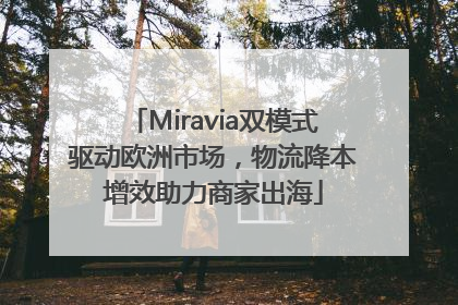 Miravia双模式驱动欧洲市场，物流降本增效助力商家出海