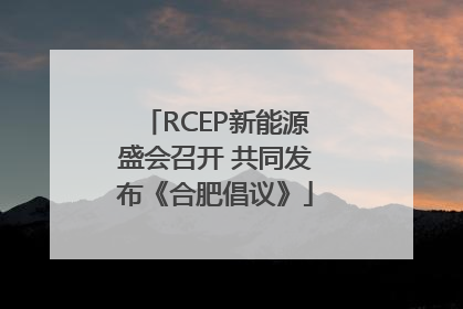 RCEP新能源盛会召开 共同发布《合肥倡议》